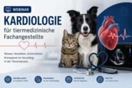 D_nurse_26_10_20_ Kardiologie für tiermedizinische Fachangestellte_300x200.png