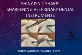 Shiny Isn't Sharp: Sharpening Dental Instruments