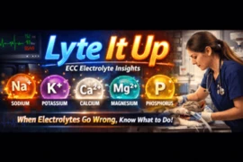 Lyte It Up - Rapid Electrolyte Insights for Critical Decisions