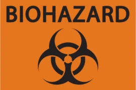 Image 2609 300x200 (1).png