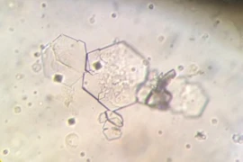 Image 24.02.2026 300x200 (1).jpg