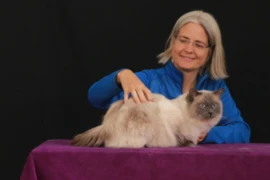 Webinar_3_Pic_2_1_300x200.jpg