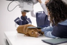 Optimize your Radiographs - Tips and Tricks for Nurses