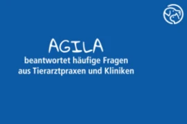 Fragen zu Tierkrankenversicherungen? - AGILA beantwortet sie!