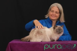 Webinar_3_Pic_2_1_300x200_purapet.jpg
